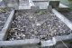 Photo of headstones/thumb_John & Neil McLellan hdstn Newcastle Sandgate Cemetery